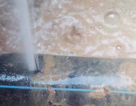 大洼卫生间防水哪家好